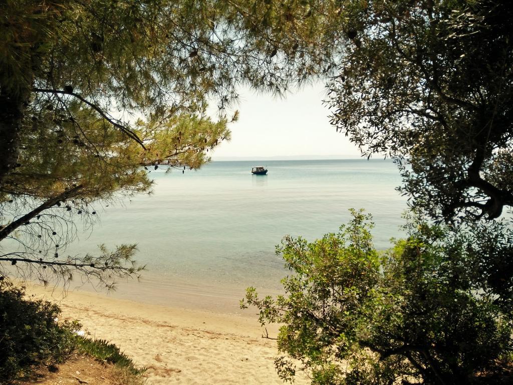 Moriel Seaside Homes Suites Elia Nikitis Exterior foto